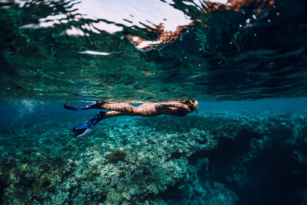 underwater-swimming