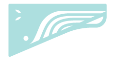 whale-grphic