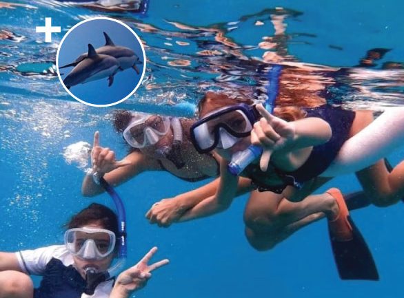 Snorkeling from Lahaina to Lanai and Dolphin Watching Tour