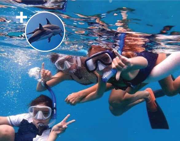 Maui Snorkeling Tour and whale watching combo trip