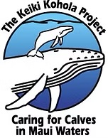 keiki kohola whale research support maui
