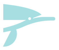 dolphin tours from Lahaina Maui