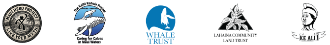lahaina maui community partnerships for whale watching