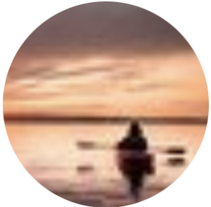 Screenshot 2026-02-16 at 6.51.16 PM