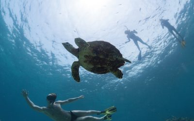 Snorkeling Tips For Non-Swimmers