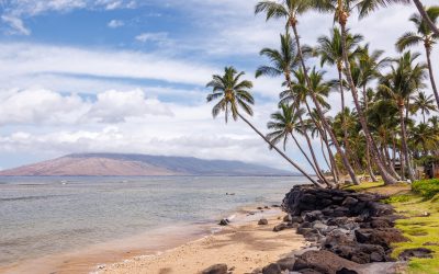 The Best Beaches In Maui For Snorkeling